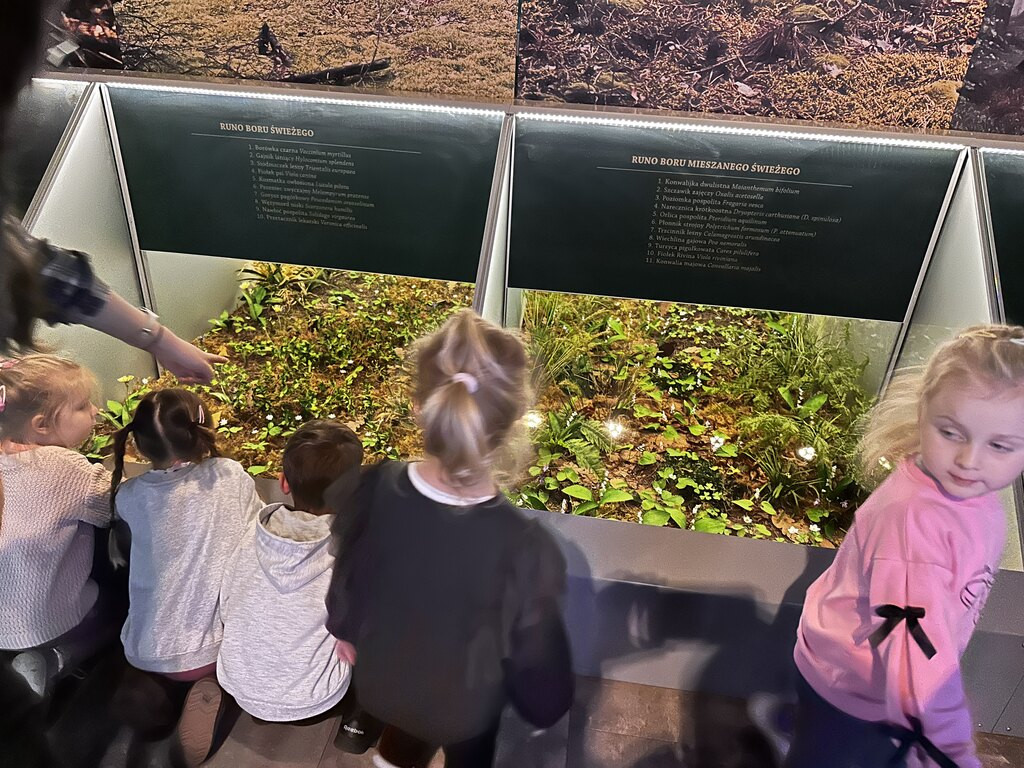 Krokuski i Niezapominajki poznały tajemnice lasu
