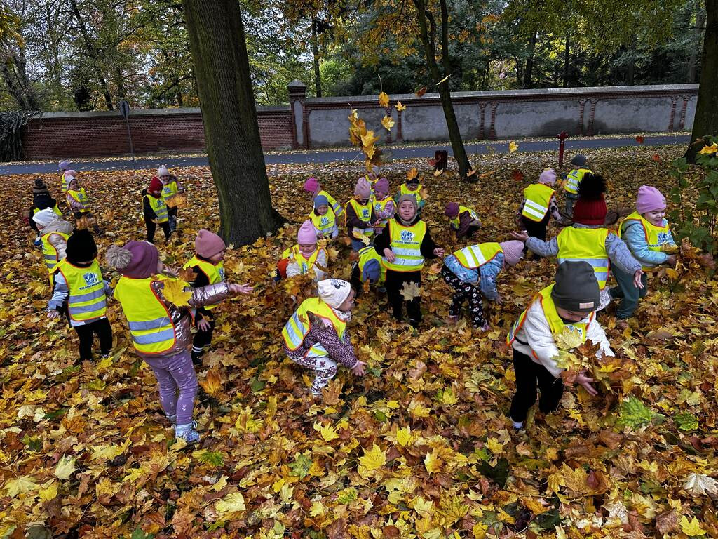 Krokuski i Niezapominajki poznały tajemnice lasu