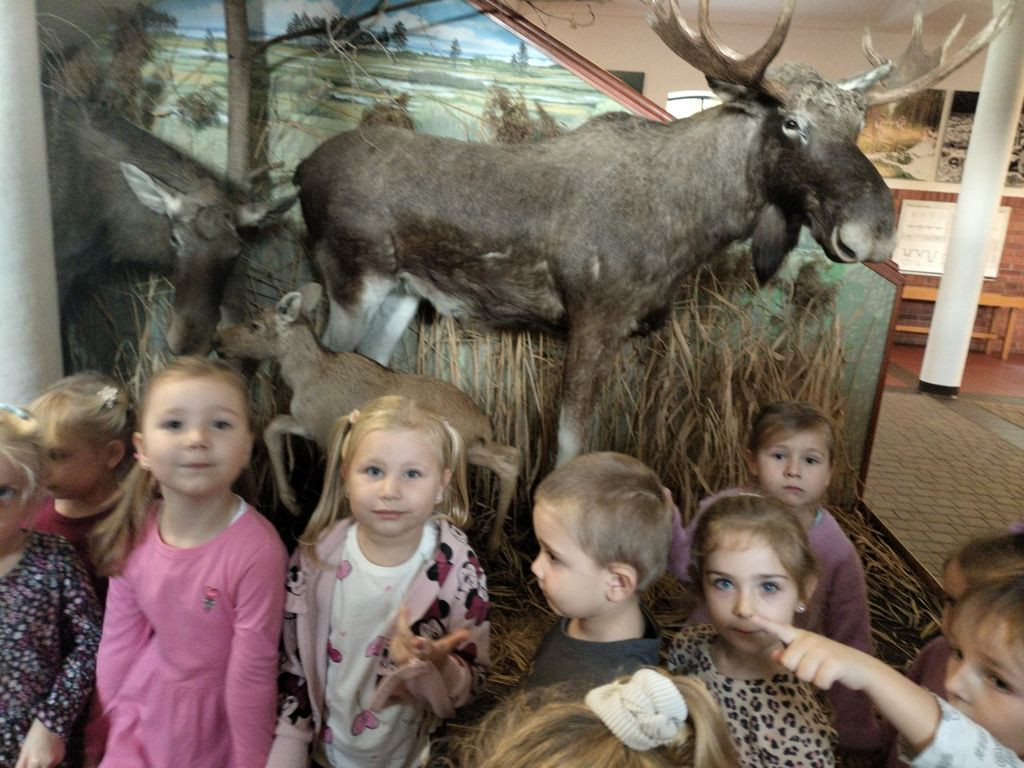 Krokuski i Niezapominajki poznały tajemnice lasu