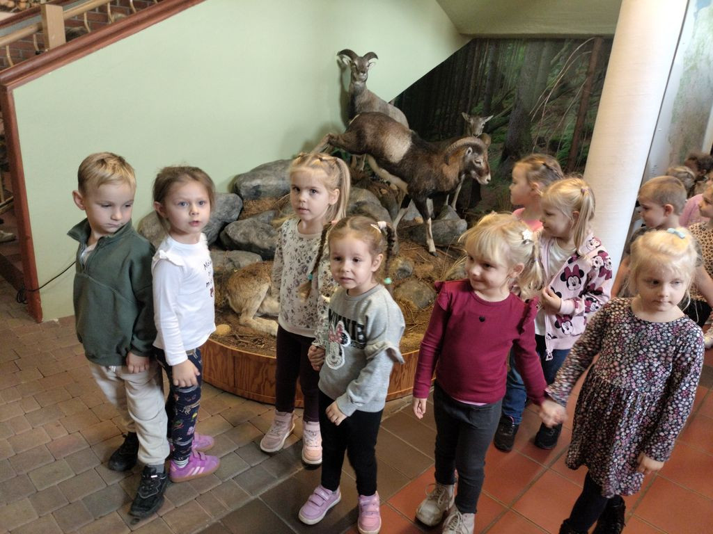 Krokuski i Niezapominajki poznały tajemnice lasu