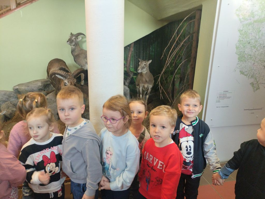 Krokuski i Niezapominajki poznały tajemnice lasu