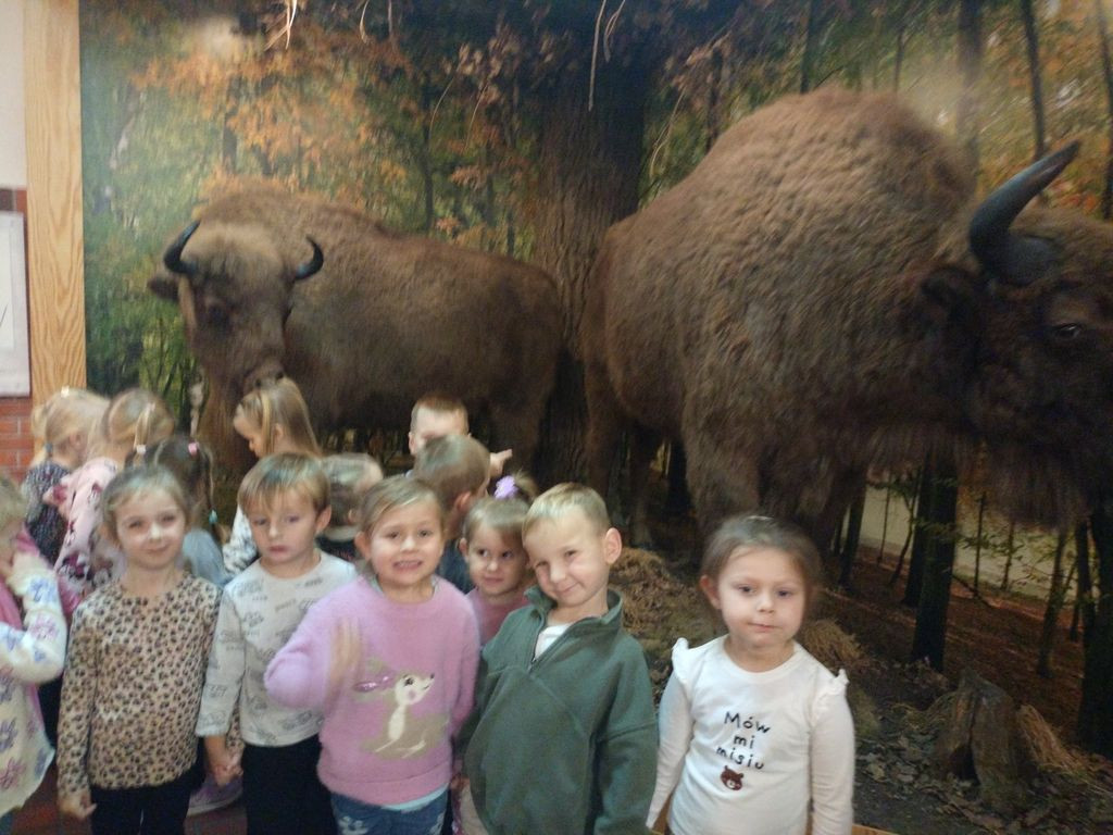 Krokuski i Niezapominajki poznały tajemnice lasu