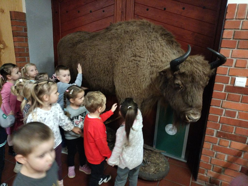 Krokuski i Niezapominajki poznały tajemnice lasu