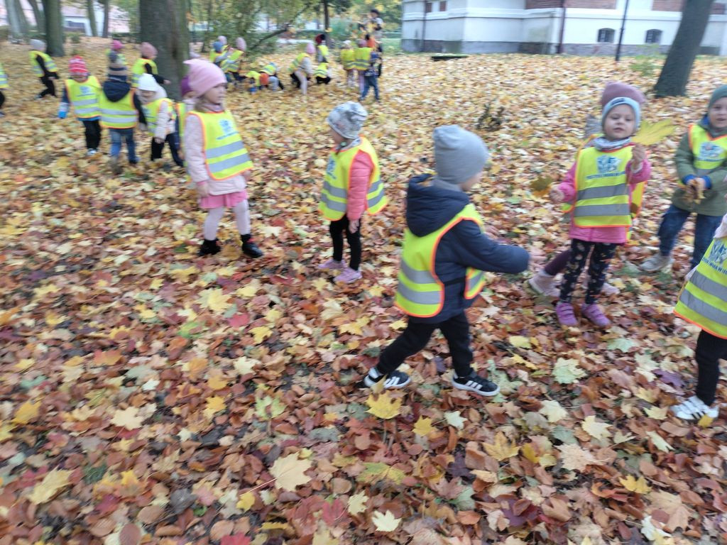 Krokuski i Niezapominajki poznały tajemnice lasu