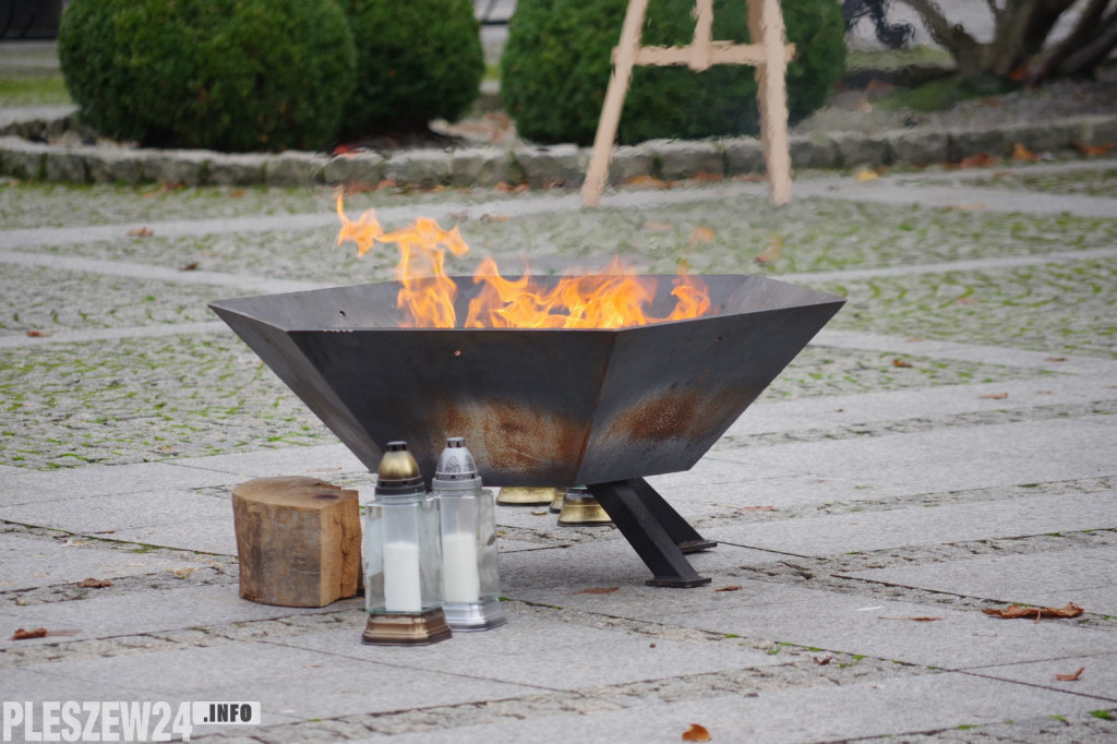 Wspólne świętowanie Radości Niepodległości