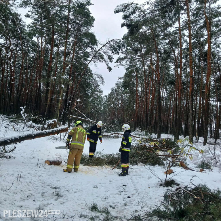 Ciężka noc. Dziesiątki zdarzeń w powiecie