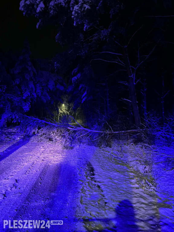 Ciężka noc. Dziesiątki zdarzeń w powiecie