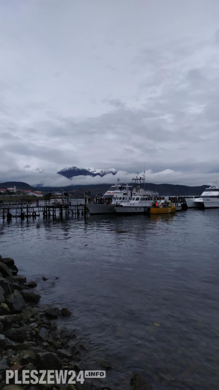 Pleszewianin płynie na Antarktydę