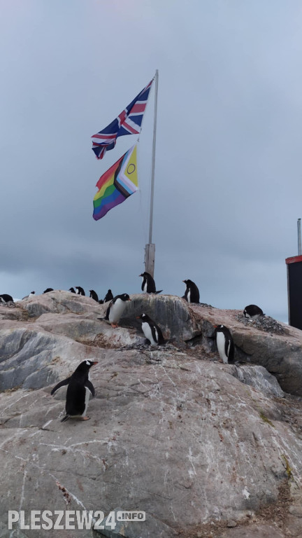 Pleszewianin płynie na Antarktydę