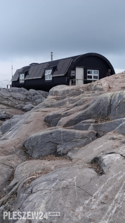 Pleszewianin płynie na Antarktydę