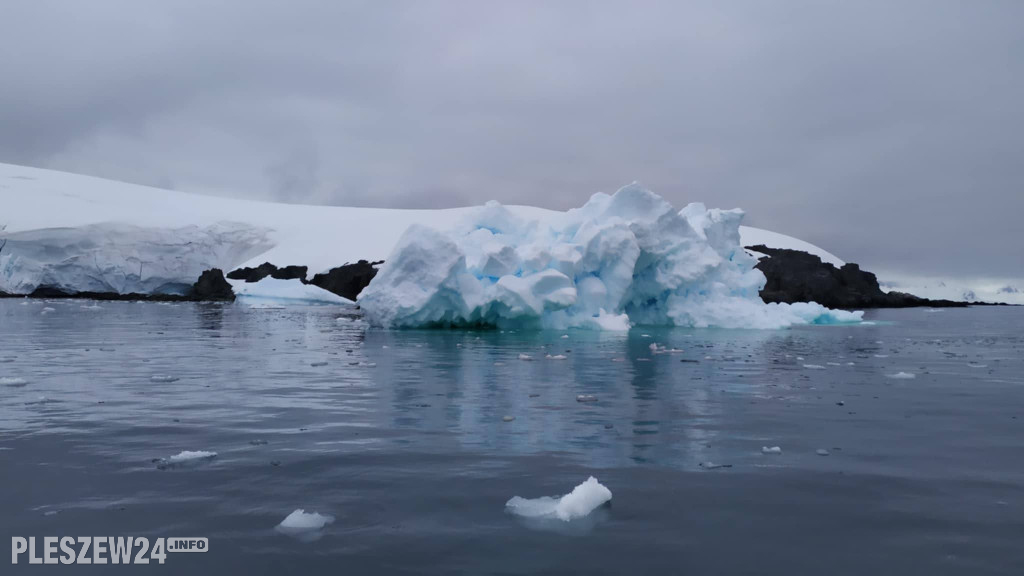 Pleszewianin płynie na Antarktydę