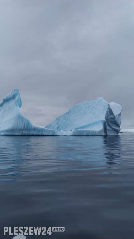 Pleszewianin płynie na Antarktydę