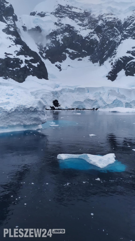 Pleszewianin płynie na Antarktydę