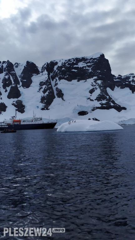 Pleszewianin płynie na Antarktydę