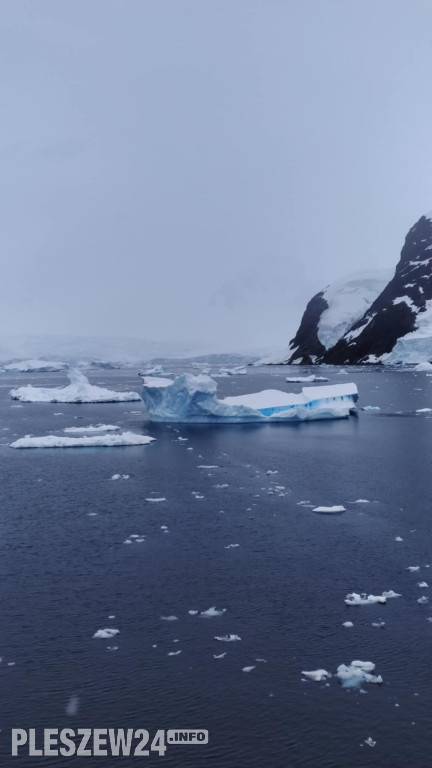 Pleszewianin płynie na Antarktydę