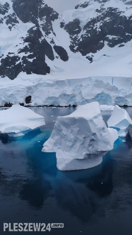 Pleszewianin płynie na Antarktydę