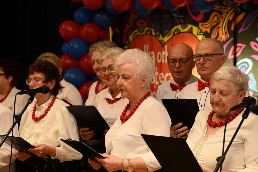 Wielka Orkiestra Świątecznej Pomocy w Broniszewicach