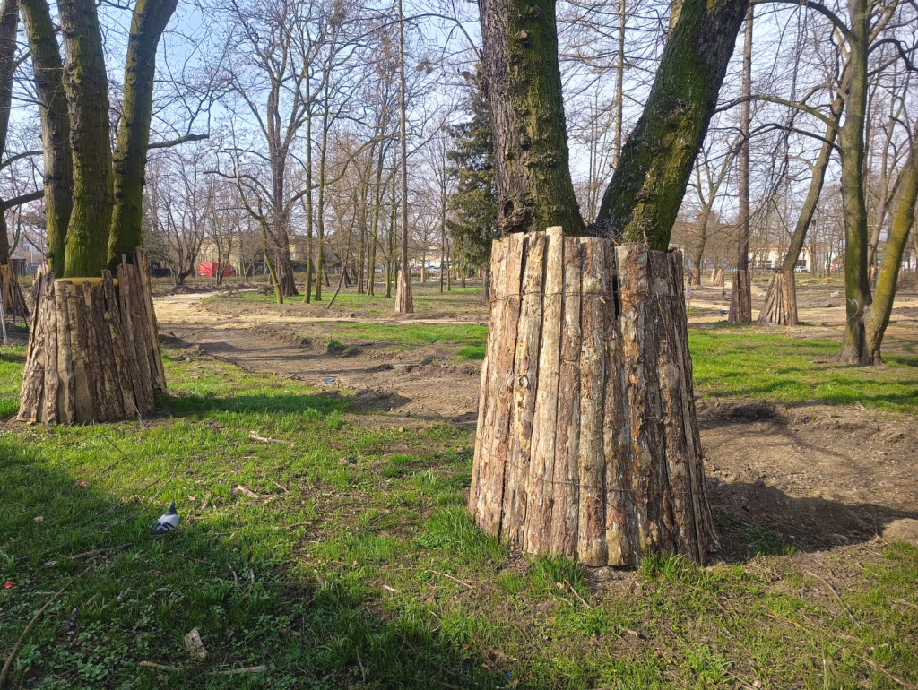 Park Miejski w Pleszewie - wstrzymane prace