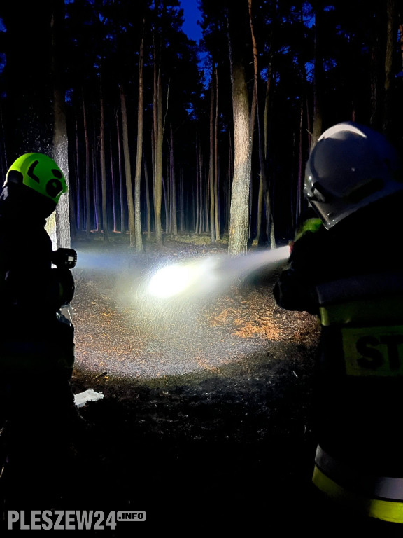 Pożar lasu w gminie Gizałki