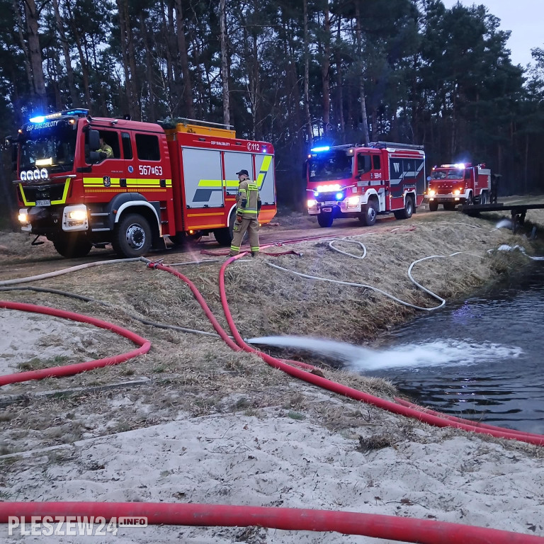 Pożar lasu w gminie Gizałki