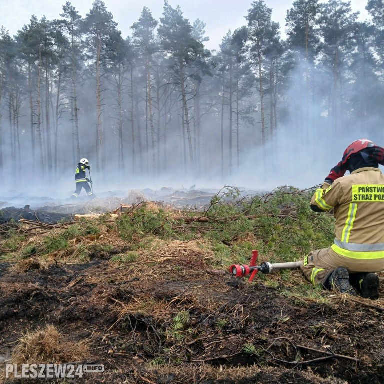 Pożar lasu w gminie Gizałki