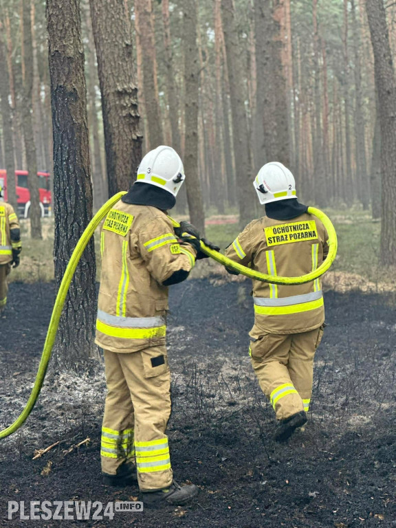 Pożar lasu w gminie Gizałki