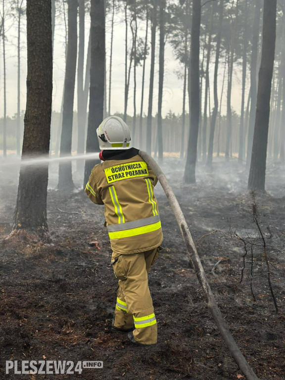 Pożar lasu w gminie Gizałki