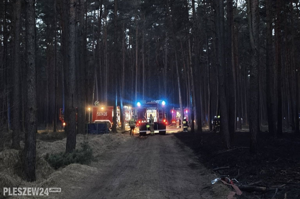 Pożar lasu w gminie Gizałki