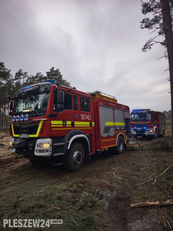 Pożar lasu w gminie Gizałki