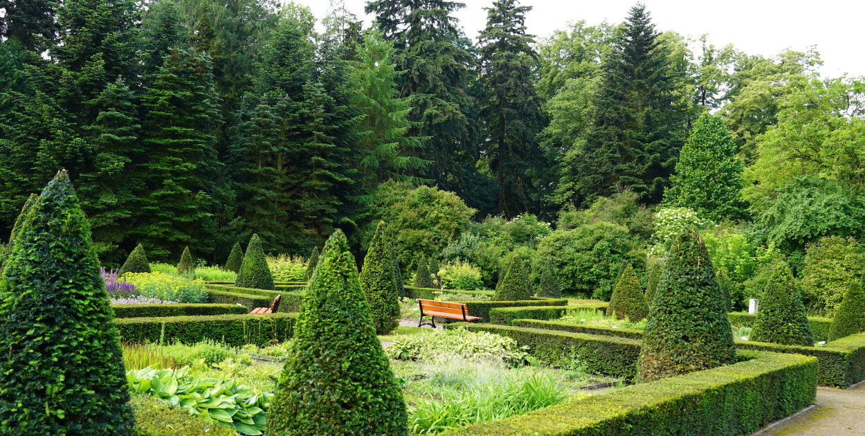 Fot.: Anna Błaszczyk