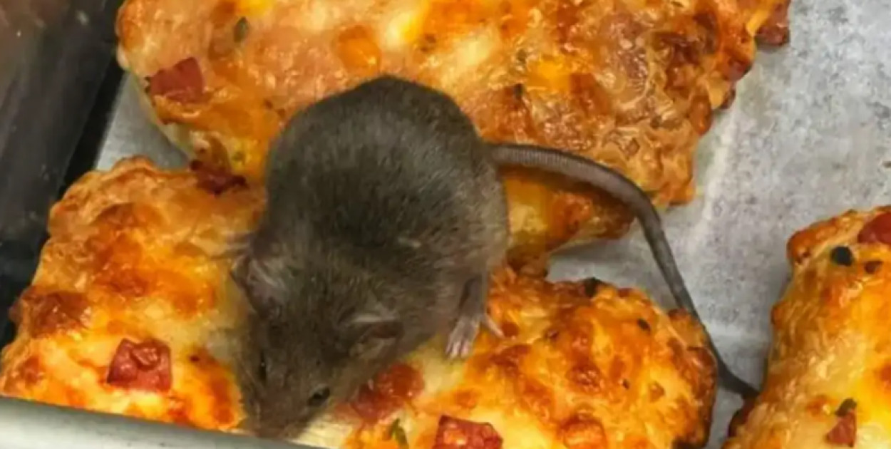 Fot. Grupa Spotted Ostrów Wlkp. 