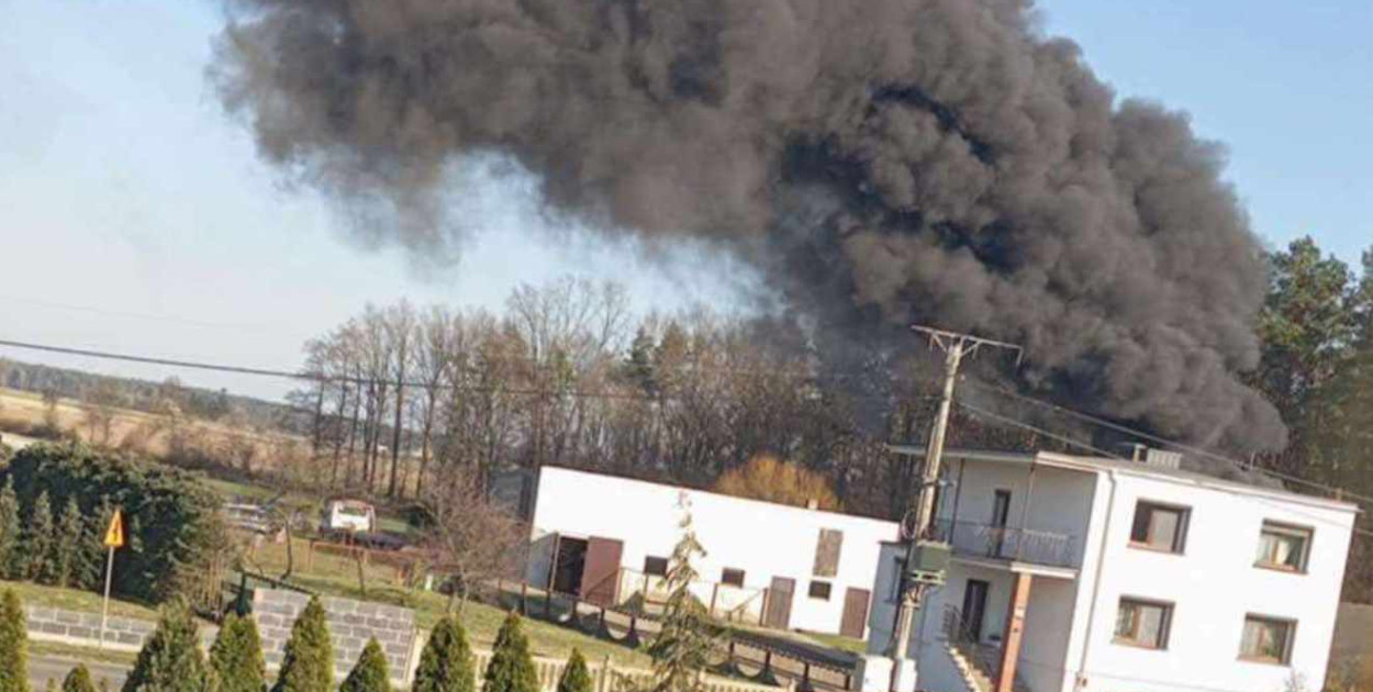 Fot. Czytelniczka / Pleszew112