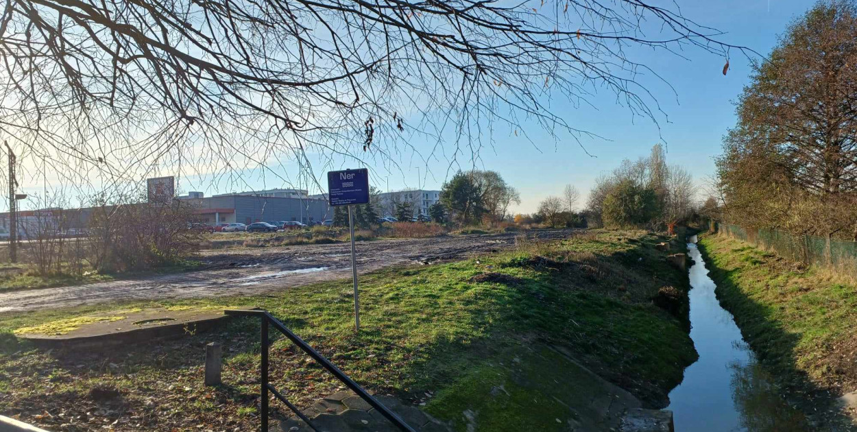 Fot. Irena Kuczyńska / Pleszew24.info