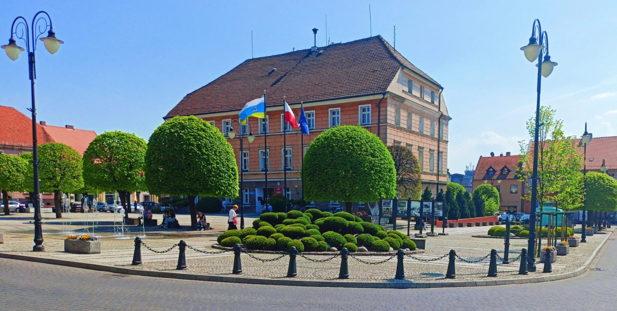 Fot. UMiG Pleszew