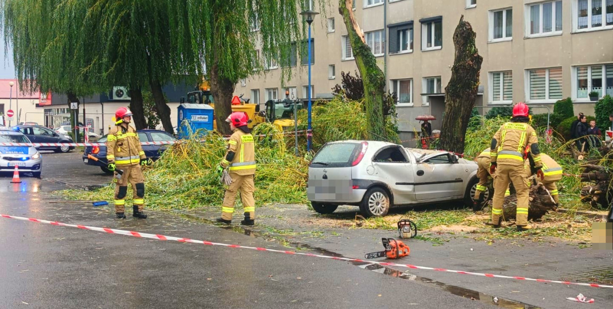 Skutki wichury na ulicy Modrzewskiego. Fot. Pleszew24.info/M. Jaworski