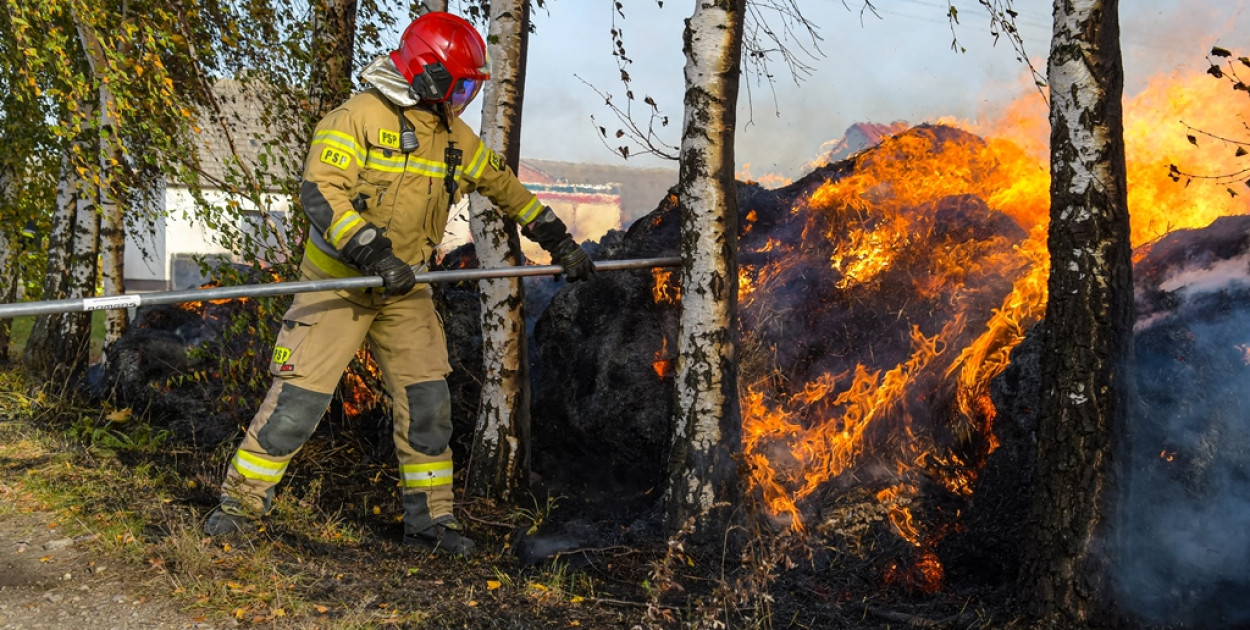 Fot. Adam Majewski/Jarocin112.pl