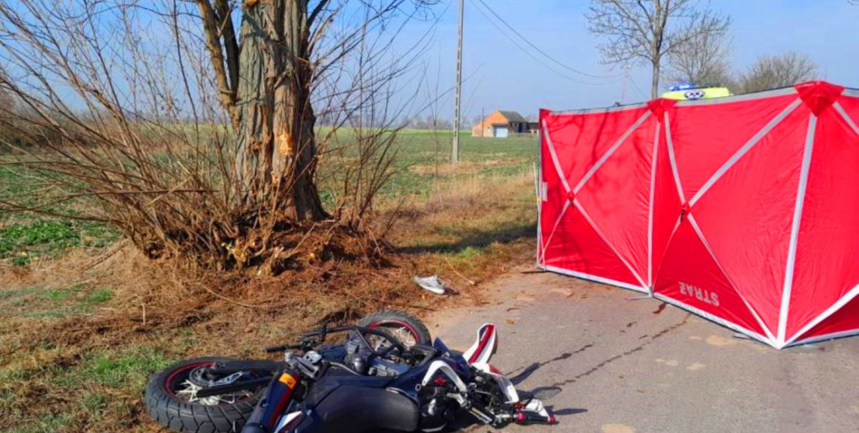 Wypadek pod Grodziskiem Wielkopolskim