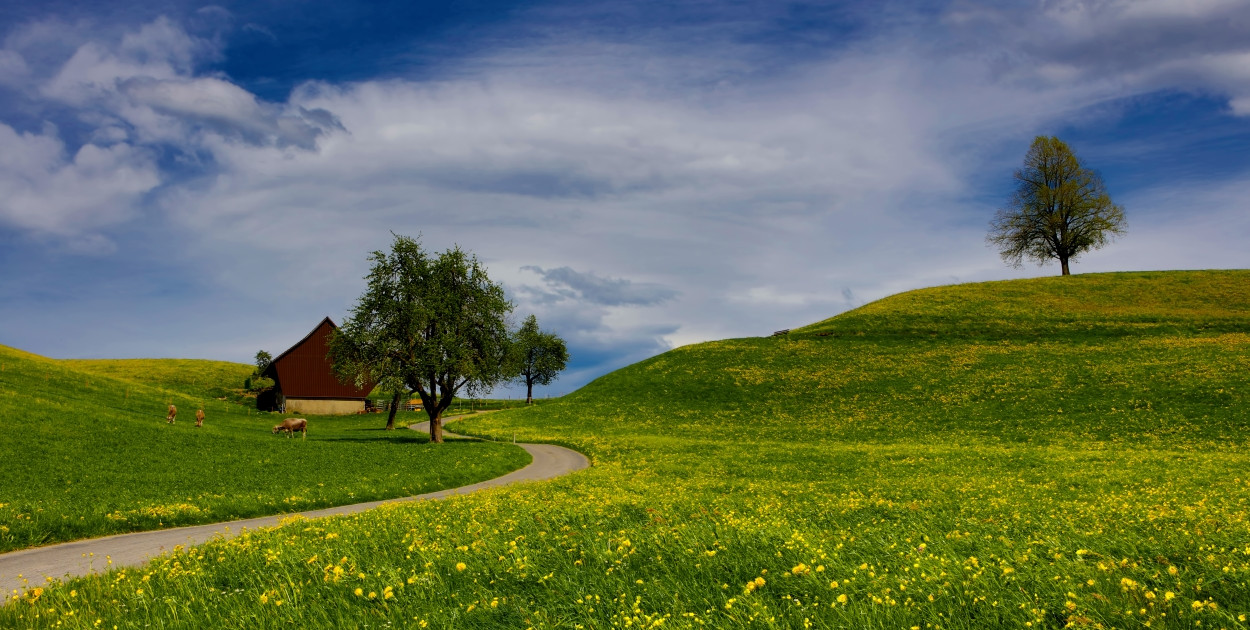 Fot.: Freepik