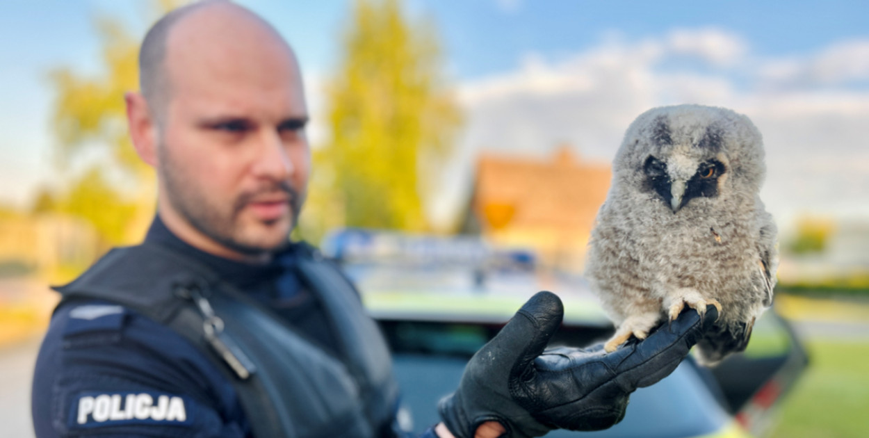 Fot. Policja Ostrów Wielkopolski