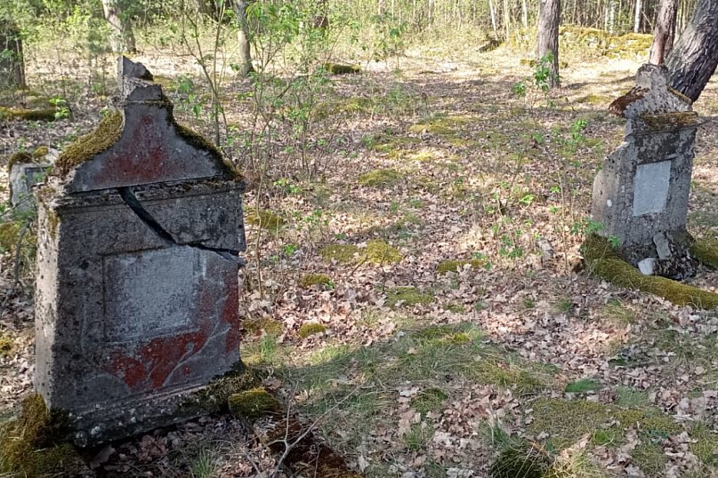 Cmentarz w Orlinie Dużej