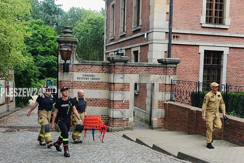 Poszukiwania zaginionej w Gołuchowie