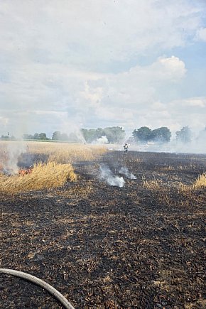 Pożar  zboża w Nowej Wsi-1582