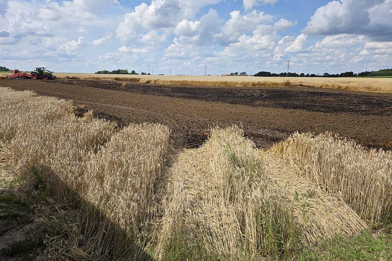 Pożar  zboża w Nowej Wsi
