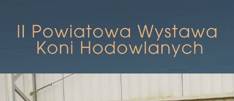 II Powiatowa Wystawa Koni Hodowlanych