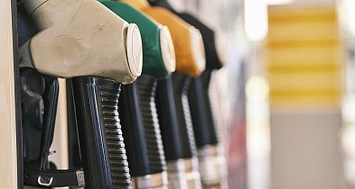Świąteczne tankowanie. Będzie taniej niż przed rokiem?-1519
