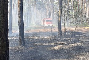Palił się las w gminie Chocz. Strażacy apelują [zdjęcia]-4499