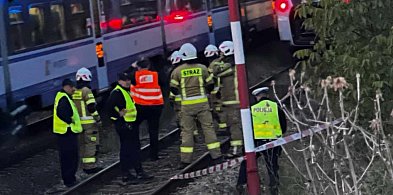 Maszynista nie był w stanie zahamować. Tragedia na torach pod Kaliszem-6929