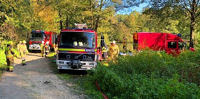 70 strażaków na Karczemce i w innych miejscach Pleszewa [zdjęcia]-7523