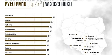 Pleszew - fatalnie. Drugie miejsce w Polsce pod względem rakotwórczego pyłu-7662