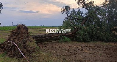 Pomoc dla rolników z powiatu pleszewskiego zagrożona? Izba alarmuje!-7961